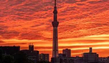 Missing the Tokyo sky