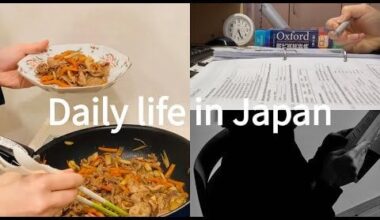 Quick Japanese Stir-Fry | Pork, Carrots & Onions for a Balanced Meal