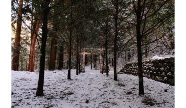 Do you prefer a snowy or sunny Japan?