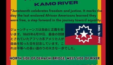 Juneteenth Picnic (June 15, 3 PM)