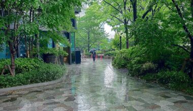 Street scenes