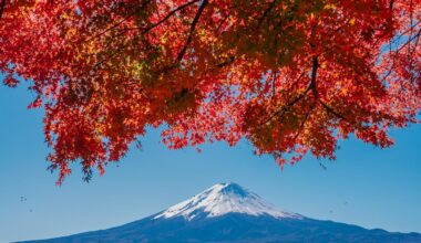Mount Fuji in Autumn