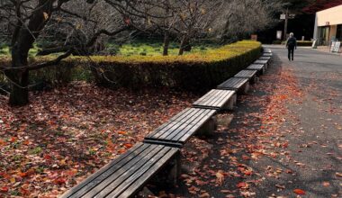 Take a seat in Tokyo