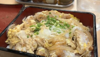 Team katsudon or team gyudon?