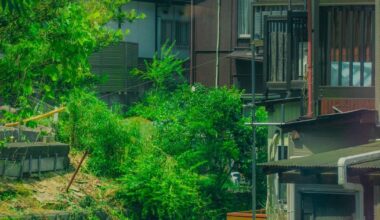 Mountain Pass Architecture