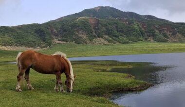 Mt. Aso