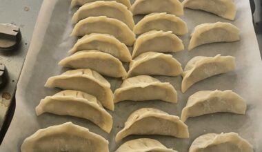 I tried my hand at gyoza for the first time. I made a lot. I also ate a lot.