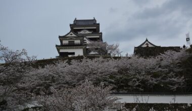Ozu Castle, Ehime Prefecture, in cherry blossom season