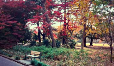 Take a seat in Tokyo