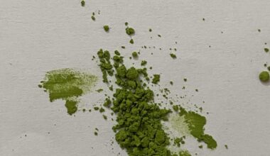 Which from this is an authentic Japanese Matcha powder ?