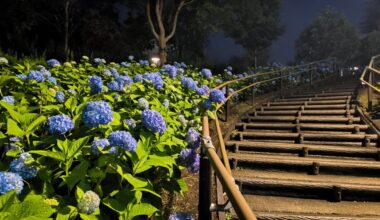 Odaiba, Tokyo. Good place to have a walk after dinner in May