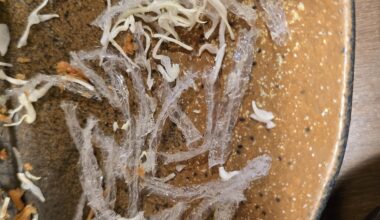 Edible plastic in cabbage ? (In the photo provided)