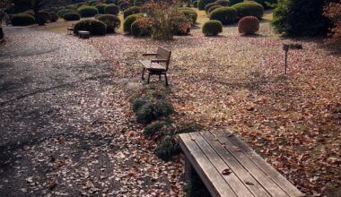 Take a seat in Tokyo