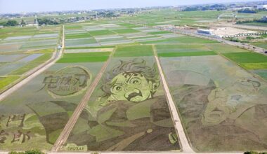 Rice paddy art in Saitama
