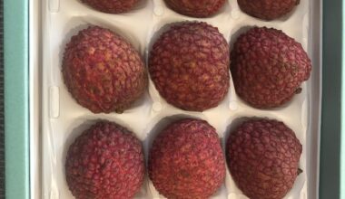 Where can I find lychees like this somewhere other than in Ginza Sembikiya? I have not seen them in department stores yet.