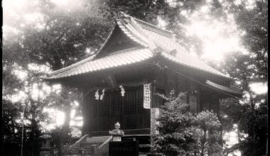 Late Afternoon at Fuji-sha, Minami Urawa, Saitama City