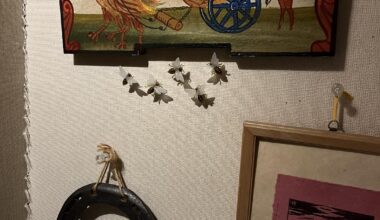 "PICAPOLONCA" The only Slovenian restaurant in Japan, located in Kyoto