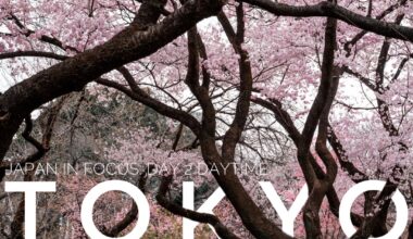 [OC] Japan in Focus, Spring - Day 2: Tokyo, daytime