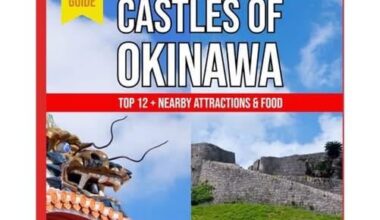 Our 2-year project was published!