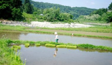 Tayasumi - Resting after the rice is planted