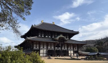 Day Trip to Nara – Deer, Temples & Tranquility 🇯🇵