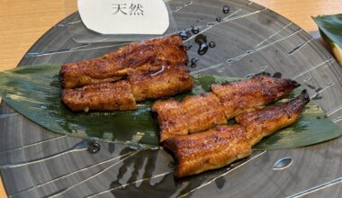 Wild-caught eel