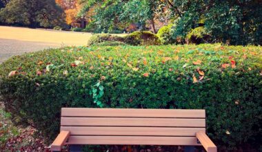 Take a seat in Tokyo