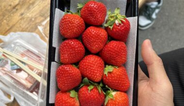 JAPANESE STRAWBERRIES ARE ON A DIFFERENT LEVEL 🍓🍓🍓