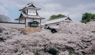 Cherry blossoms surrounding Kanazawa Castle