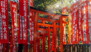 One of the prettiest Shrines in Tokio