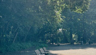 Take a seat in Rinshinomori Park