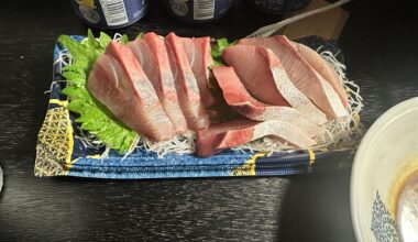 This cost only ¥300, Hamachi sashimi meal