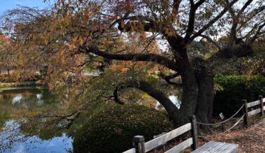 Take a seat in Tokyo