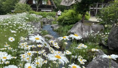 Shirakawa go