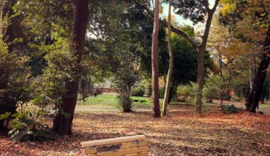 Take a seat in Tokyo
