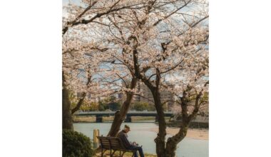 Photos from My Latest Video in Hiroshima