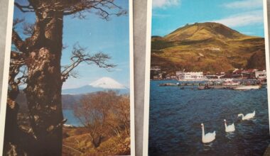 I found these old postcards from my grandfather