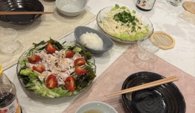 Ton shabu salad and bukkake udon