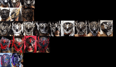 Made a comp of every Despy mask that I know of. I may be missing a few. Yes I am crazy