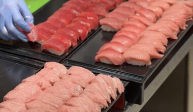 What’s your pick?! Akami, Chutoro or Otoro?