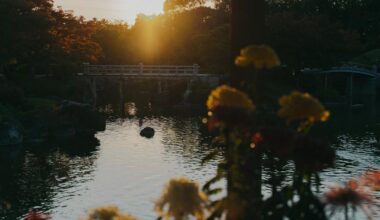 Sunset on Daisen Park