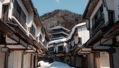 [OC] Very aesthetically pleasing shopping street near Echizen Daibutsu in Fukui, Japan