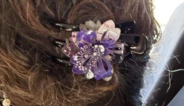 Hair clip?
