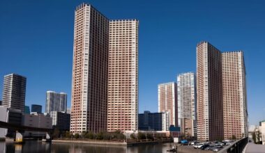 What are these Apartment buildings called, ik the short ones are called Danchis but what are the tall, skinny cage public Housing apartaments called?