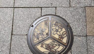 Drain covers from my current trip