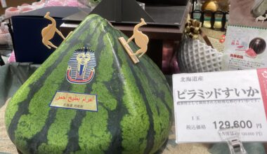 Remote workers of Tokyo, how’s your summer?