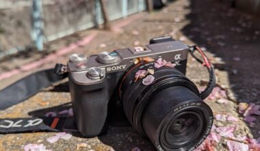 Take a picture. Tokyo.