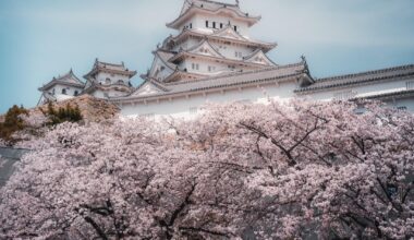 Castles x Sakura