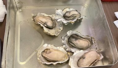 Sake steamed oysters, Shinagawa