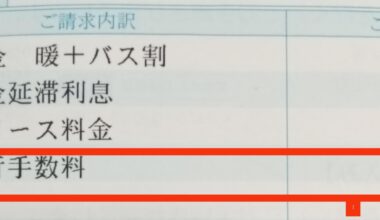 Paying bills by credit/debit card to avoid "form issuance fee"